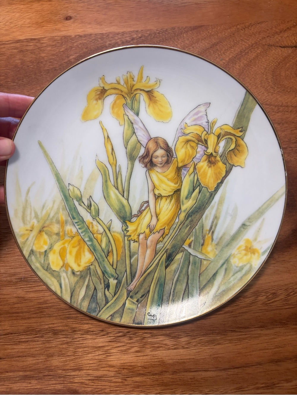 VTG 1988 A festival of Flower Fairies Plate with Yellow Iris Fairy Illustration